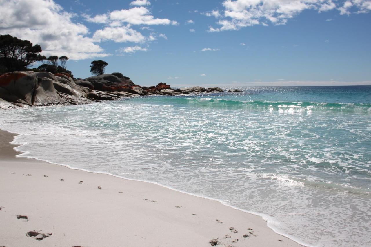 Binalong Beach Cottage Beachfront At Bay Of Fires Next To Restaurant Binalong Bay Exterior foto